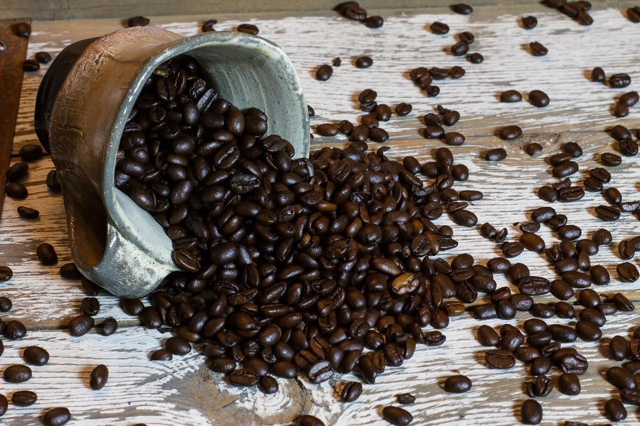 Hvad er forskellen på en vådstøvsuger og en almindelig støvsuger?